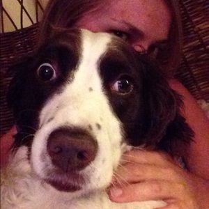 Meet your Posher, Heidi