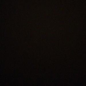 Meet your Posher, Tamia