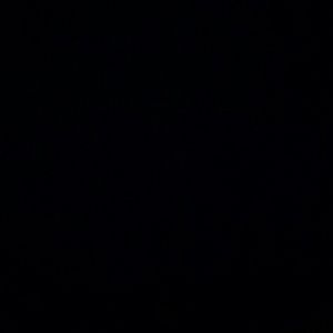 Meet your Posher, Porschia