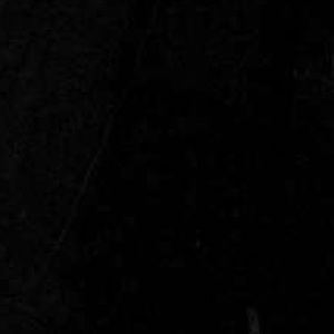 Meet your Posher, Nicholas