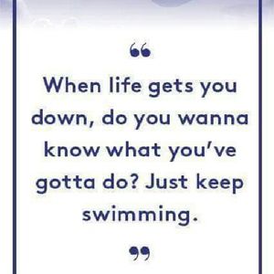 Meet your Posher, Destiny