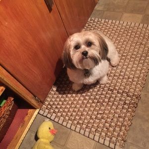 Meet your Posher, Wendy