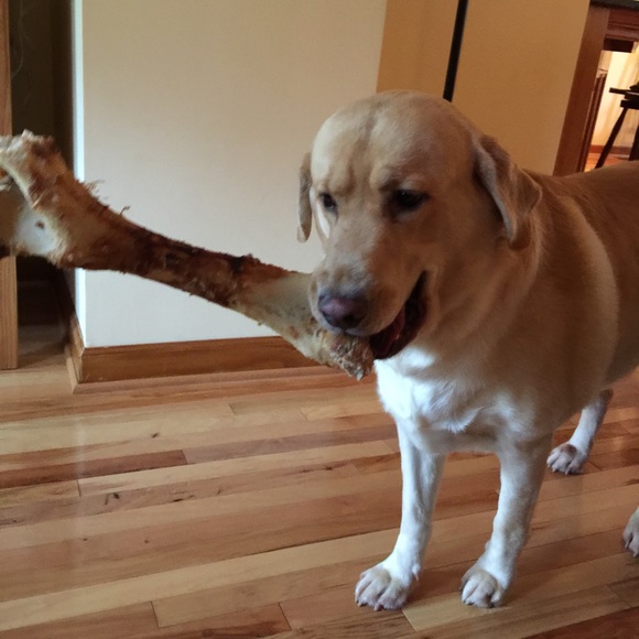 Meet your Posher, Devin - Picture 2 of 2