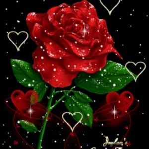 Meet your Posher, Yenny