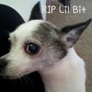 Meet your Posher, Darlene