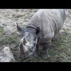 Meet your Posher, Angie