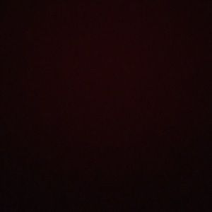 Meet your Posher, Bryn