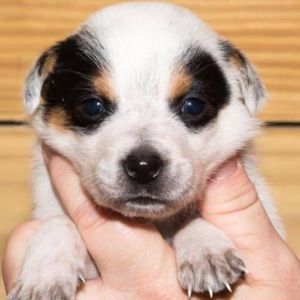 Meet your Posher, Katherine