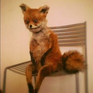 Meet your Posher, Aisha