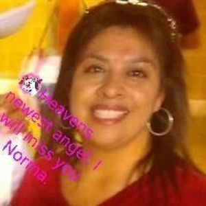 Meet your Posher, Cash