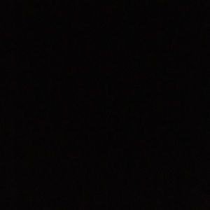 Meet your Posher, Kyra