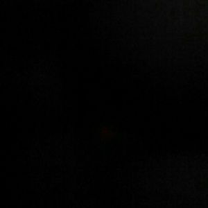 Meet your Posher, Lucy