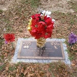 Meet your Posher, Dana