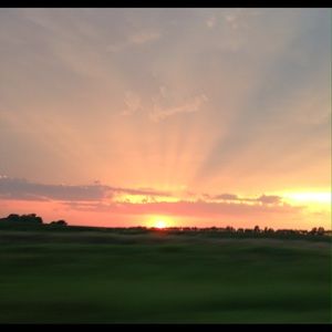 Meet your Posher, Carlyne