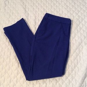 Royal blue express editor pants