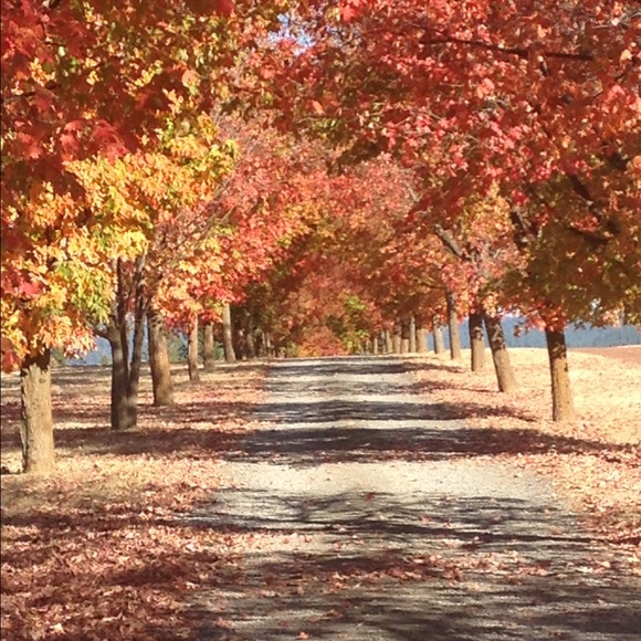 Meet your Posher, Jill - Picture 1 of 1