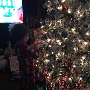 Meet your Posher, Shannon