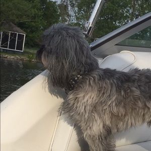 Meet your Posher, Victoria