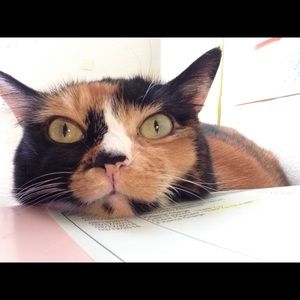 Meet your Posher, Kuniko