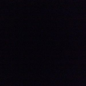 Meet your Posher, Sammy