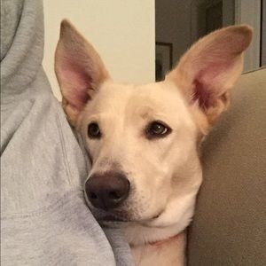 Meet your Posher, Jenny