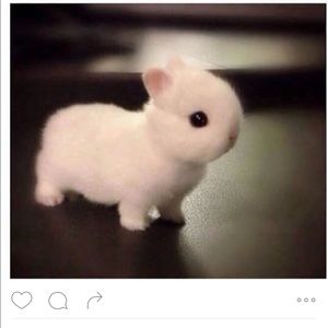 Meet your Posher, Jodi