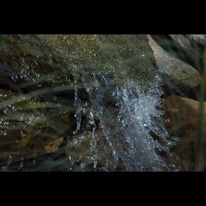 Meet your Posher, Earline