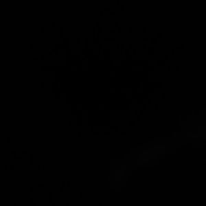 Meet your Posher, Quincy