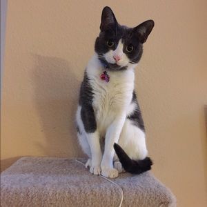 Meet your Posher, Ashley