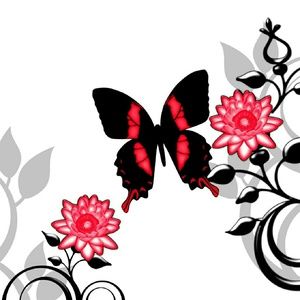 Meet your Posher, Joy