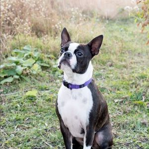 Meet your Posher, Julie