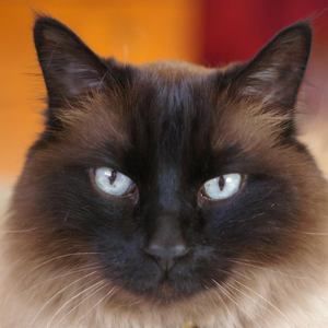 Meet your Posher, Abbie