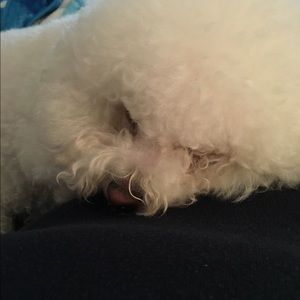 Meet your Posher, Jaimi