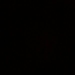 Meet your Posher, Sandy