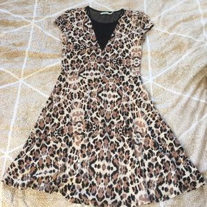 Animal Print Skater Dress