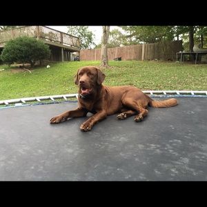 Meet your Posher, Tammy