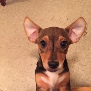 Meet your Posher, Jordyn