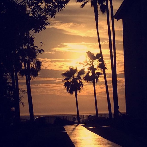 Meet your Posher, Madeline - Picture 1 of 1