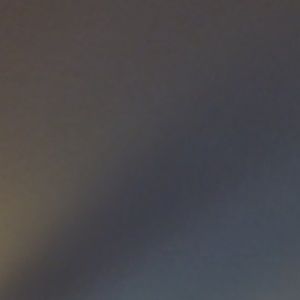 Meet your Posher, Lizbeth