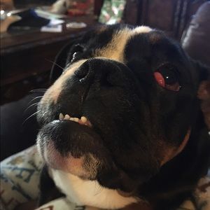 Meet your Posher, Heather