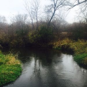 Meet your Posher, Daniela