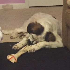 Meet your Posher, Skyler