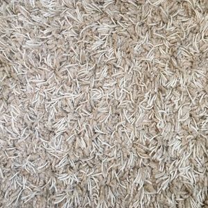 Meet your Posher, Leigh