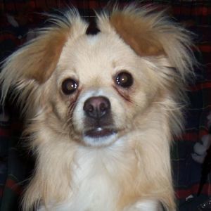 Meet your Posher, Taylor