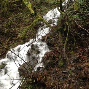 Meet your Posher, Salvador