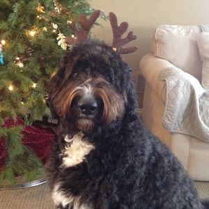 Meet your Posher, Laura