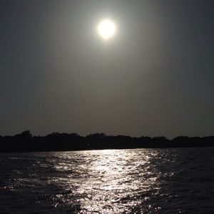 Meet your Posher, Adriona