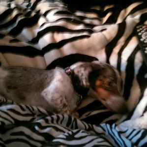 Meet your Posher, Karen