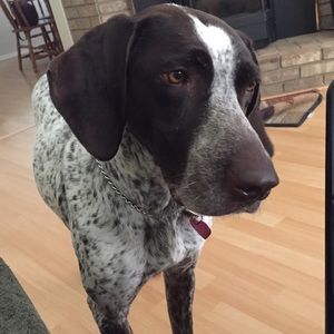 Meet your Posher, Kristina