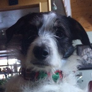 Meet your Posher, Marta